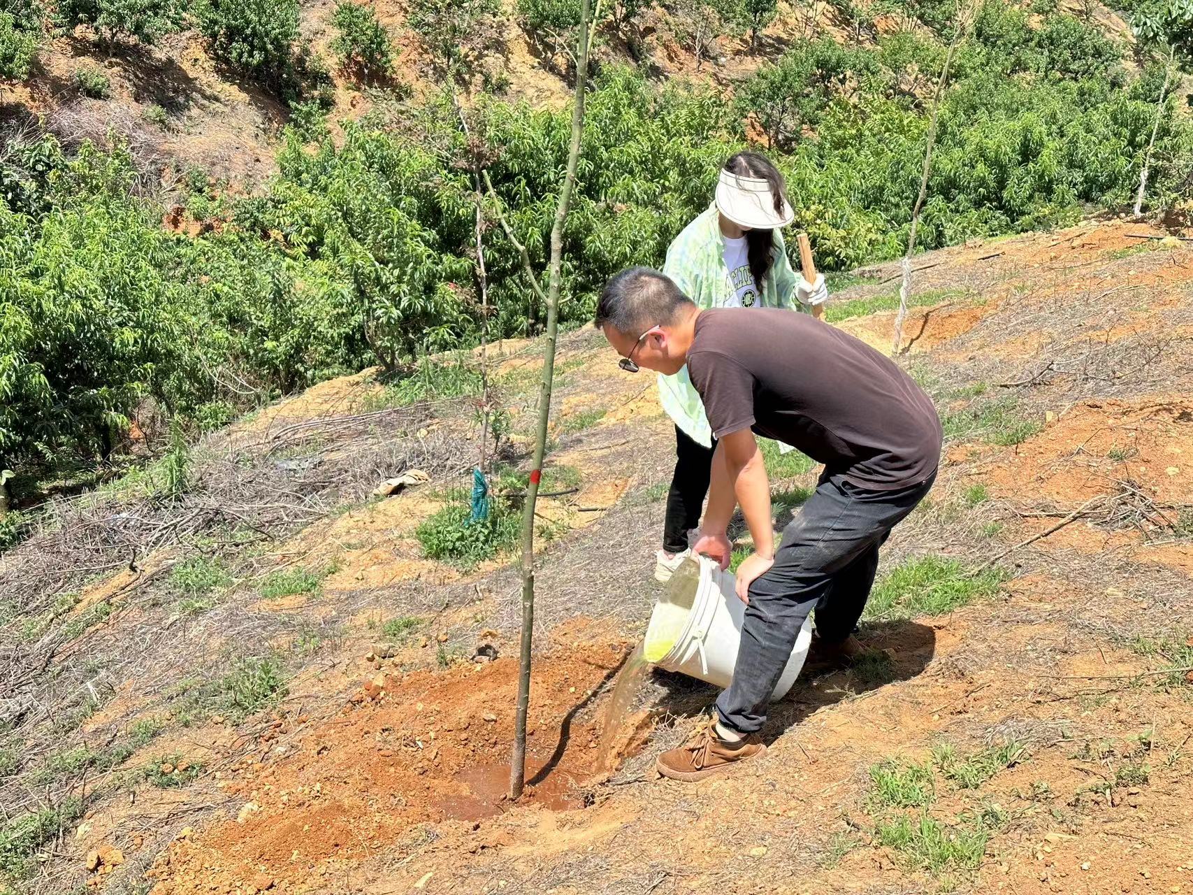 心植希望 播种绿色 ——盛翔监理开展户外活动暨庆祝建党102周年